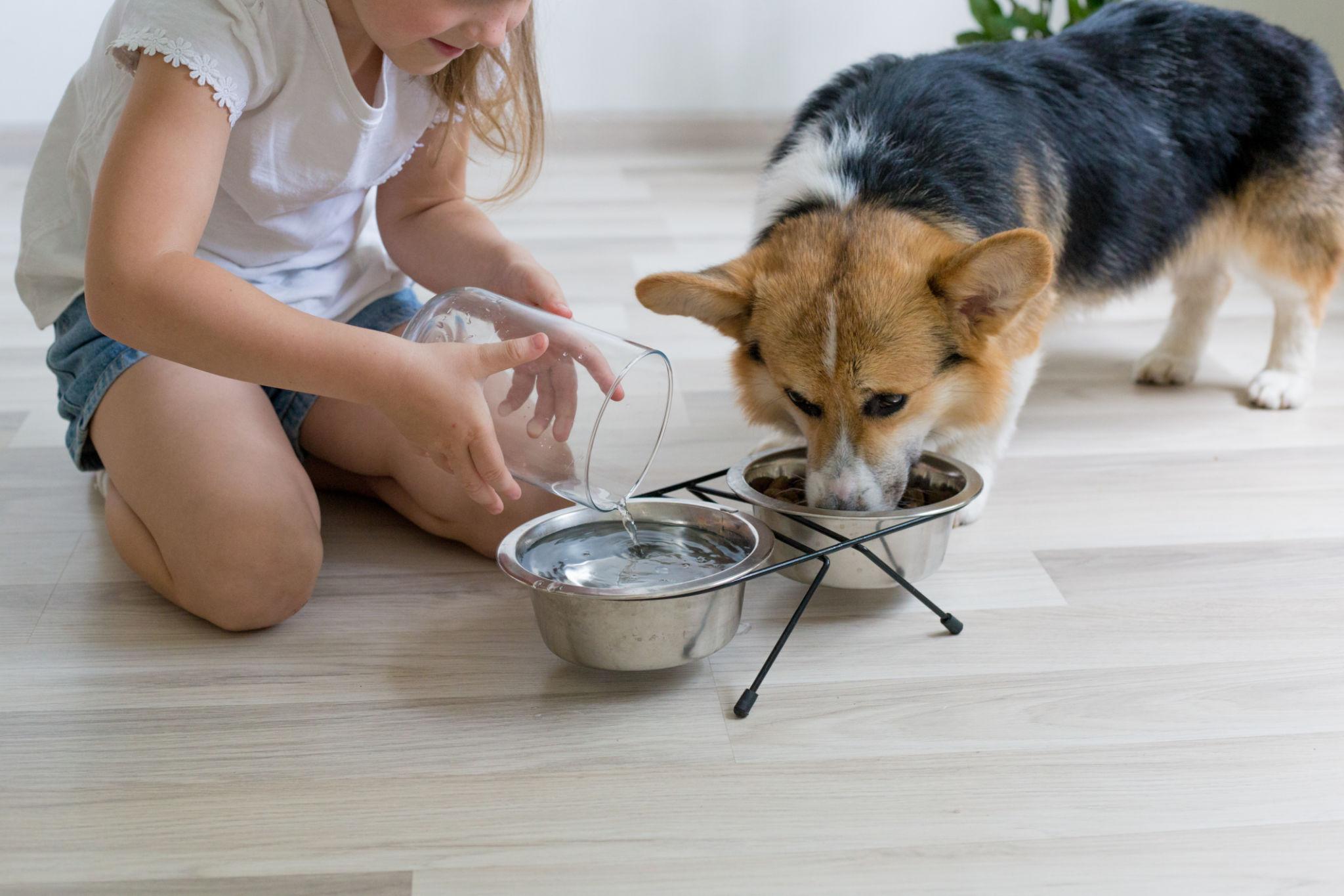 Primul meu animal de companie – ghid pentru copiii responsabili
